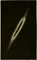 An illustration from Spectrum analysis in its application to terrestrial substances, and the physical constitution of the heavenly bodies / familiarly explained by H. Schellen ; translated from the second enlarged and revised German edition by Jane and Caroline Lassell ; edited with notes by William Huggins ; with numerous woodcuts and coloured plates, and Ångström's and Kirchhoff's maps. (1872)
