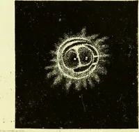 An illustration from Spectrum analysis in its application to terrestrial substances, and the physical constitution of the heavenly bodies / familiarly explained by H. Schellen ; translated from the second enlarged and revised German edition by Jane and Caroline Lassell ; edited with notes by William Huggins ; with numerous woodcuts and coloured plates, and Ångström's and Kirchhoff's maps. (1872)
