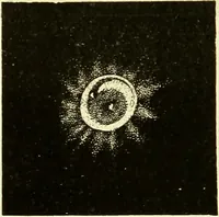 An illustration from Spectrum analysis in its application to terrestrial substances, and the physical constitution of the heavenly bodies / familiarly explained by H. Schellen ; translated from the second enlarged and revised German edition by Jane and Caroline Lassell ; edited with notes by William Huggins ; with numerous woodcuts and coloured plates, and Ångström's and Kirchhoff's maps. (1872)