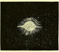 An illustration from Spectrum analysis in its application to terrestrial substances, and the physical constitution of the heavenly bodies / familiarly explained by H. Schellen ; translated from the second enlarged and revised German edition by Jane and Caroline Lassell ; edited with notes by William Huggins ; with numerous woodcuts and coloured plates, and Ångström's and Kirchhoff's maps. (1872)
