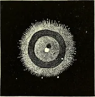 An illustration from Spectrum analysis in its application to terrestrial substances, and the physical constitution of the heavenly bodies / familiarly explained by H. Schellen ; translated from the second enlarged and revised German edition by Jane and Caroline Lassell ; edited with notes by William Huggins ; with numerous woodcuts and coloured plates, and Ångström's and Kirchhoff's maps. (1872)