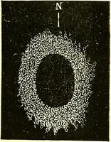 Picture 229 of 246 from Spectrum analysis in its application to terrestrial substances, and the physical constitution of the heavenly bodies / familiarly explained by H. Schellen ; translated from the second enlarged and revised German edition by Jane and Caroline Lassell ; edited with notes by William Huggins ; with numerous woodcuts and coloured plates, and Ångström's and Kirchhoff's maps. (1872), leaf 617