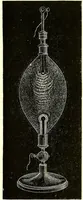 An illustration from Spectrum analysis in its application to terrestrial substances, and the physical constitution of the heavenly bodies / familiarly explained by H. Schellen ; translated from the second enlarged and revised German edition by Jane and Caroline Lassell ; edited with notes by William Huggins ; with numerous woodcuts and coloured plates, and Ångström's and Kirchhoff's maps. (1872)