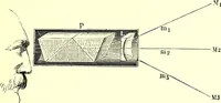Picture 246 of 246 from Spectrum analysis in its application to terrestrial substances, and the physical constitution of the heavenly bodies / familiarly explained by H. Schellen ; translated from the second enlarged and revised German edition by Jane and Caroline Lassell ; edited with notes by William Huggins ; with numerous woodcuts and coloured plates, and Ångström's and Kirchhoff's maps. (1872), leaf 665