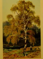 An illustration from Familiar trees / With coloured plates by W.H.J. Boot. (1887)