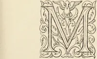 An illustration from Episodes of insect life / by Acheta Domestica, [pseud.] ;edited and revised by J.G. Wood. (1879)