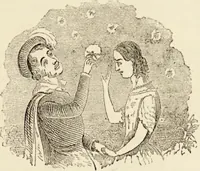 An illustration from Episodes of insect life / by Acheta Domestica, [pseud.] ;edited and revised by J.G. Wood. (1879)