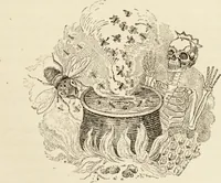 Picture 58 of 106 from Episodes of insect life / by Acheta Domestica, [pseud.] ;edited and revised by J.G. Wood. (1879), leaf 231