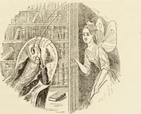 Picture 60 of 106 from Episodes of insect life / by Acheta Domestica, [pseud.] ;edited and revised by J.G. Wood. (1879), leaf 241