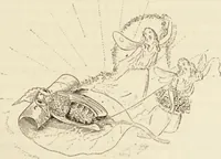 Picture 62 of 106 from Episodes of insect life / by Acheta Domestica, [pseud.] ;edited and revised by J.G. Wood. (1879), leaf 249