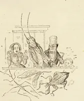 An illustration from Episodes of insect life / by Acheta Domestica, [pseud.] ;edited and revised by J.G. Wood. (1879)