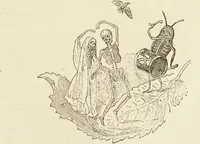 An illustration from Episodes of insect life / by Acheta Domestica, [pseud.] ;edited and revised by J.G. Wood. (1879)