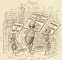 An illustration from Episodes of insect life / by Acheta Domestica, [pseud.] ;edited and revised by J.G. Wood. (1879)