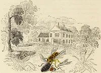 Picture 104 of 106 from Episodes of insect life / by Acheta Domestica, [pseud.] ;edited and revised by J.G. Wood. (1879), leaf 424