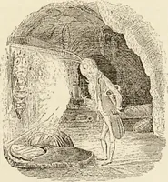 An illustration from Episodes of insect life / by Acheta Domestica, [pseud.] ;edited and revised by J.G. Wood. (1879)