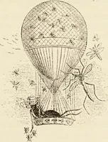 An illustration from Episodes of insect life / by Acheta Domestica, [pseud.] ;edited and revised by J.G. Wood. (1879)