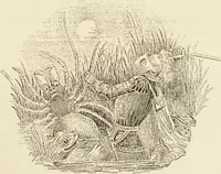 An illustration from Episodes of insect life / by Acheta Domestica, [pseud.] ;edited and revised by J.G. Wood. (1879)
