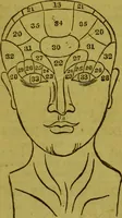 An illustration from The alphabet of phrenology / [by A.L. Vago]. (1880)
