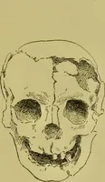 An illustration from Heads, and what they tell us : phrenological recollections / by W. Pugin Thornton. (1892)