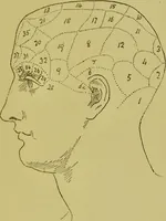An illustration from Heads, and what they tell us : phrenological recollections / by W. Pugin Thornton. (1892)