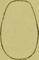 An illustration from Heads, and what they tell us : phrenological recollections / by W. Pugin Thornton. (1892)