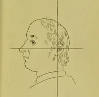 An illustration from Heads, and what they tell us : phrenological recollections / by W. Pugin Thornton. (1892)