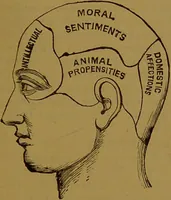 Picture 4 of 15 from "Truths for the million" : hand book & guide to physiology, psychology, physiognomy and phrenology / by Joseph Dyson. (1885), leaf 23