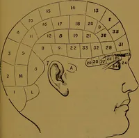 Picture 11 of 15 from "Truths for the million" : hand book & guide to physiology, psychology, physiognomy and phrenology / by Joseph Dyson. (1885), leaf 55