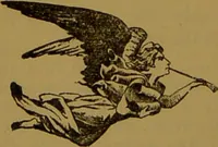 Picture 15 of 15 from "Truths for the million" : hand book & guide to physiology, psychology, physiognomy and phrenology / by Joseph Dyson. (1885), leaf 70