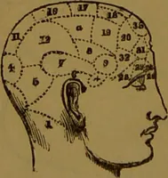 An illustration from "Truths for the million" : hand book & guide to physiology, psychology, physiognomy and phrenology / by Joseph Dyson. (1885)