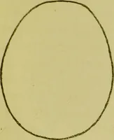 An illustration from Phrenology, or, Heads, and what they tell us / by W. Pugin Thornton. (1896)