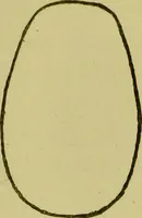 An illustration from Phrenology, or, Heads, and what they tell us / by W. Pugin Thornton. (1896)