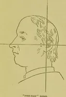 An illustration from Phrenology, or, Heads, and what they tell us / by W. Pugin Thornton. (1896)