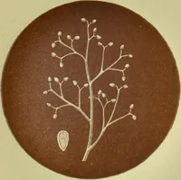 Picture 14 of 19 from Rust, smut, mildew & mould : An introduction to the study of microscopic fungi / by M. C. Cooke. Illustrated with 269 coloured figures, by J. E. Sowerby. (1886), leaf 175