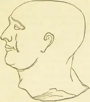 An illustration from The constitution of man considered in relation to external objects / [George Combe]. (1879)
