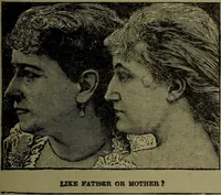 An illustration from Uncle Sam's letters on phrenology to his millions of friends in America / revised, with introduction by Nelson Sizer. (1896)