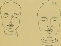 Picture 35 of 39 from Elements of phrenology / by George Combe. (1862), leaf 123