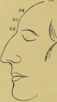 An illustration from Elements of phrenology / by George Combe. (1862)
