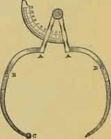 Picture 39 of 39 from Elements of phrenology / by George Combe. (1862), leaf 238