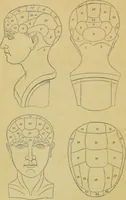 Picture 1 of 39 from Elements of phrenology / by George Combe. (1862), leaf 8