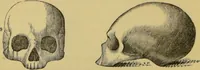 An illustration from Elements of phrenology / by George Combe. (1862)