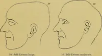 An illustration from Elements of phrenology / by George Combe. (1862)