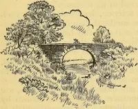 Picture 7 of 27 from The people's handbook of phrenology : comprising a short account of its history and principles with plain directions for readily attaining a knowledge of the science. (1890), leaf 13