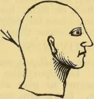 An illustration from The people's handbook of phrenology : comprising a short account of its history and principles with plain directions for readily attaining a knowledge of the science. (1890)