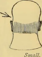 Picture 13 of 27 from The people's handbook of phrenology : comprising a short account of its history and principles with plain directions for readily attaining a knowledge of the science. (1890), leaf 26
