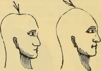 An illustration from The people's handbook of phrenology : comprising a short account of its history and principles with plain directions for readily attaining a knowledge of the science. (1890)