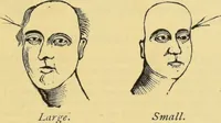 Picture 26 of 27 from The people's handbook of phrenology : comprising a short account of its history and principles with plain directions for readily attaining a knowledge of the science. (1890), leaf 49