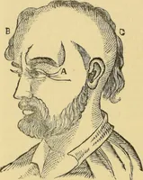 An illustration from The people's handbook of phrenology : comprising a short account of its history and principles with plain directions for readily attaining a knowledge of the science. (1890)