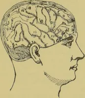 An illustration from How to read heads, or, Practical physiognomy made easy : the science and art of reading character briefly outlined, illustrated, and explained / by James Coates. (1890)