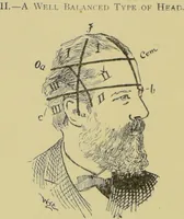 An illustration from How to read heads, or, Practical physiognomy made easy : the science and art of reading character briefly outlined, illustrated, and explained / by James Coates. (1890)